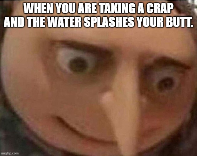 potty humor |  WHEN YOU ARE TAKING A CRAP AND THE WATER SPLASHES YOUR BUTT. | image tagged in gru meme | made w/ Imgflip meme maker