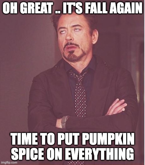 pumpkin spice | OH GREAT .. IT'S FALL AGAIN; TIME TO PUT PUMPKIN SPICE ON EVERYTHING | image tagged in memes,face you make robert downey jr,pumpkin spice | made w/ Imgflip meme maker