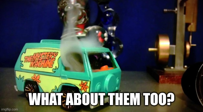 Hot wheels mystery machine | WHAT ABOUT THEM TOO? | image tagged in hot wheels mystery machine | made w/ Imgflip meme maker