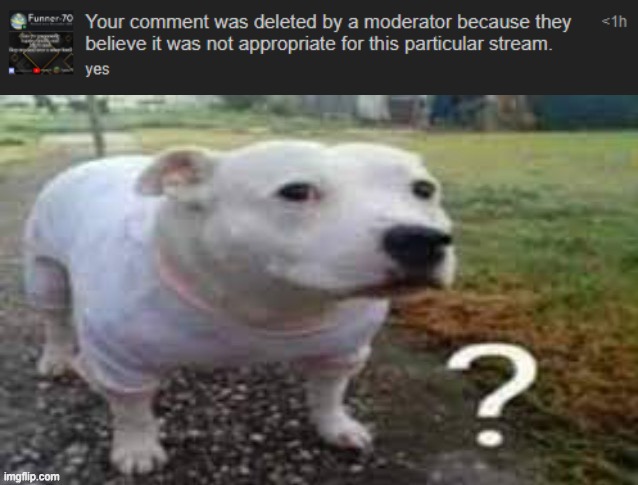wasn't this stream tho | image tagged in dog question mark | made w/ Imgflip meme maker