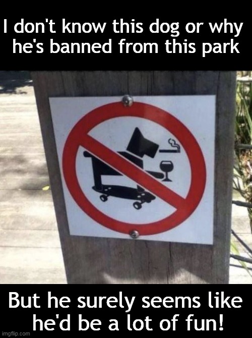 Call Spot for a Good Time |  I don't know this dog or why 
he's banned from this park; But he surely seems like 
he'd be a lot of fun! | image tagged in fun,sign,signs/billboards,dog,funny sign,cute dog | made w/ Imgflip meme maker