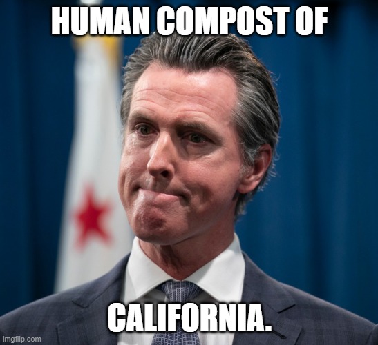 Governor Compost of the Golden State. |  HUMAN COMPOST OF; CALIFORNIA. | image tagged in gavin newsom,california,tyrant,communist | made w/ Imgflip meme maker
