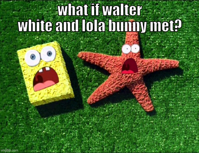 question i made since lola bunny will be the main enemy in my breaking bad ds game. | what if walter white and lola bunny met? | image tagged in memes,funny,sponge and star,walter white,lola bunny,question | made w/ Imgflip meme maker