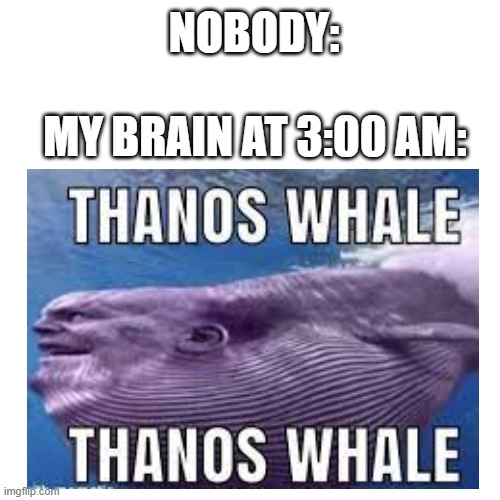 my brain be like | NOBODY:; MY BRAIN AT 3:00 AM: | image tagged in thanos whale,thicc chins,my brain at 3 am | made w/ Imgflip meme maker