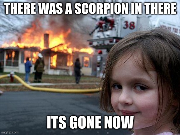 Bug | THERE WAS A SCORPION IN THERE; ITS GONE NOW | image tagged in memes,disaster girl | made w/ Imgflip meme maker