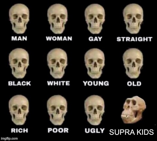 Aaaaaaand i ran out of title ideas | SUPRA KIDS | image tagged in idiot skull,cars,memes | made w/ Imgflip meme maker