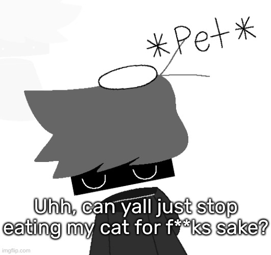 [Istg if anyone says no, then I'm gonna commit the illegal] | Uhh, can yall just stop eating my cat for f**ks sake? | image tagged in shadow rien remastered,idk,stuff,s o u p,carck | made w/ Imgflip meme maker