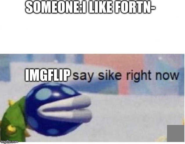 Why you guys hate that only the community ruins it! | SOMEONE:I LIKE FORTN-; IMGFLIP | image tagged in say sike right now | made w/ Imgflip meme maker