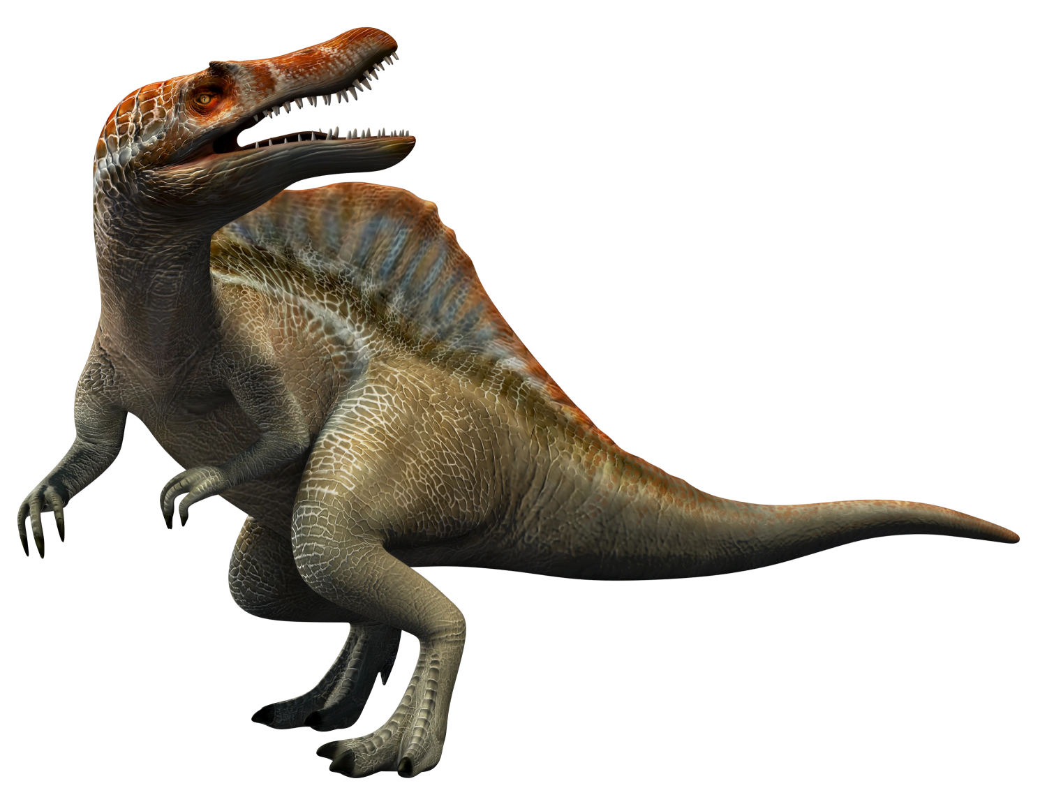 Spinosaurus 5 (JP3 Design) Blank Meme Template