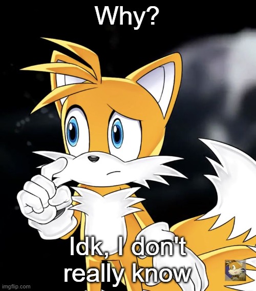 Why? Idk, I don't really know | image tagged in tails thinking | made w/ Imgflip meme maker