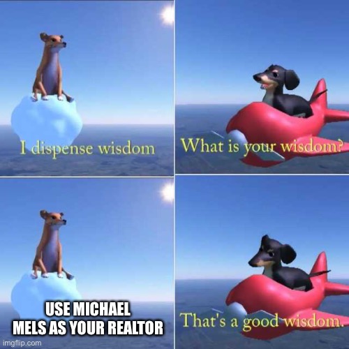 Wisdom Dog | USE MICHAEL MELS AS YOUR REALTOR | image tagged in wisdom dog | made w/ Imgflip meme maker