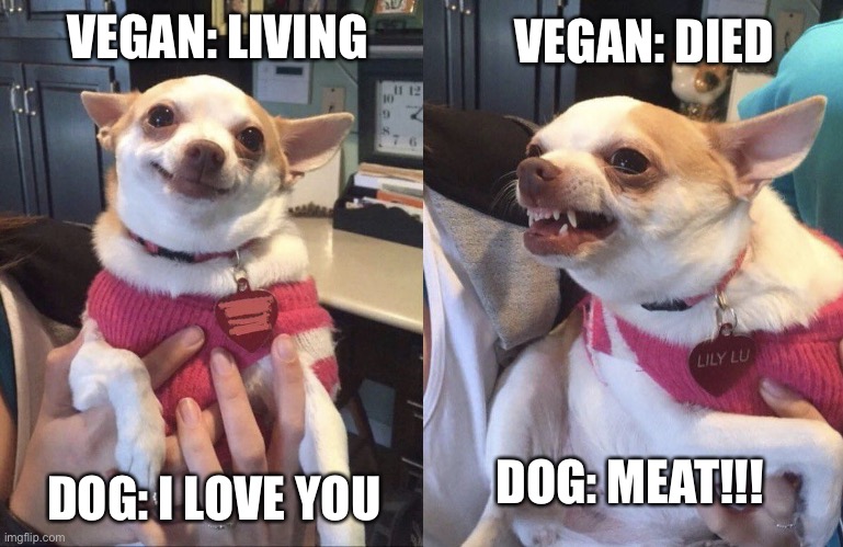 VEGAN: LIVING DOG: I LOVE YOU VEGAN: DIED DOG: MEAT!!! | image tagged in smiling dog angry dog | made w/ Imgflip meme maker