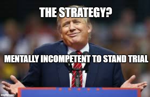 Mentally incompetent to stand trial | THE STRATEGY? MENTALLY INCOMPETENT TO STAND TRIAL | made w/ Imgflip meme maker