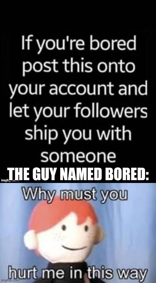 THE GUY NAMED BORED: | image tagged in why must you hurt me in this way | made w/ Imgflip meme maker