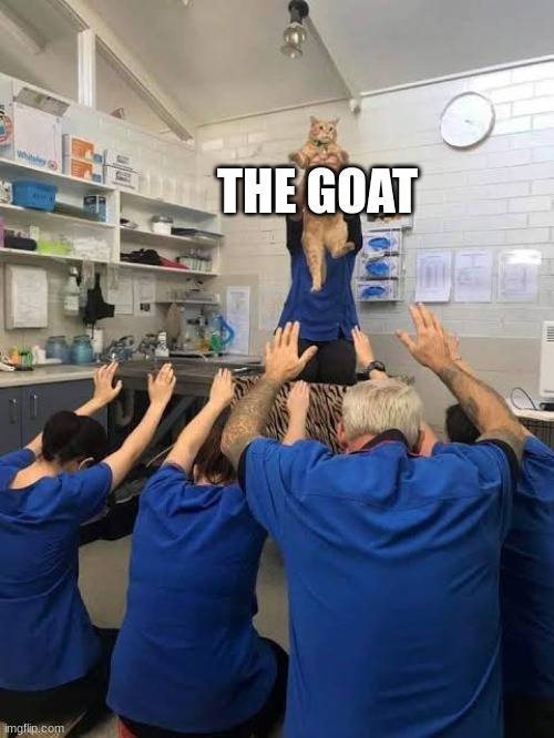 People Worshipping The Cat | THE GOAT | image tagged in people worshipping the cat | made w/ Imgflip meme maker