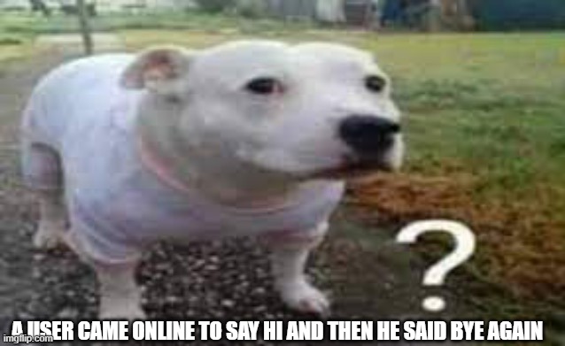 Dog question mark | A USER CAME ONLINE TO SAY HI AND THEN HE SAID BYE AGAIN | image tagged in dog question mark | made w/ Imgflip meme maker