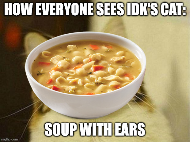 HOW EVERYONE SEES IDK'S CAT:; SOUP WITH EARS | made w/ Imgflip meme maker