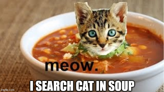 I SEARCH CAT IN SOUP | made w/ Imgflip meme maker