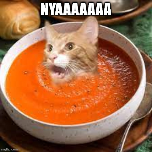 NYAAAAAAA | made w/ Imgflip meme maker