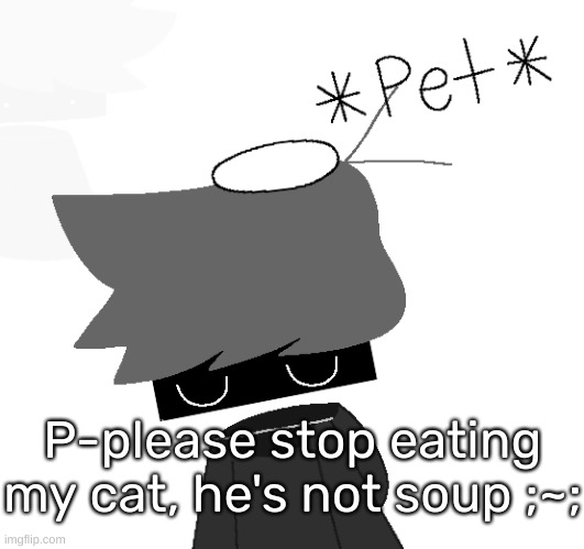 ; ~ ; [Fr, please stop-] (everyone: N O) [No, I'm serious, stop-] | P-please stop eating my cat, he's not soup ;~; | image tagged in shadow rien remastered,idk,stuff,s o u p,carck | made w/ Imgflip meme maker