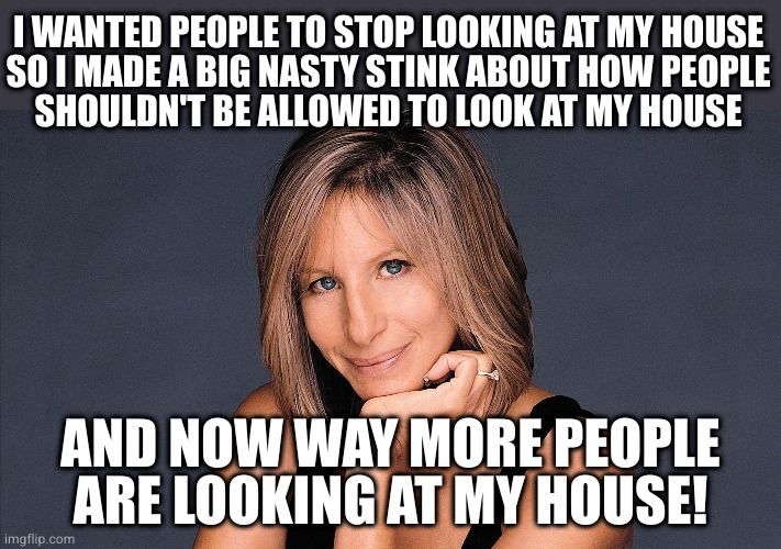 Barbara Streisand | I WANTED PEOPLE TO STOP LOOKING AT MY HOUSE
SO I MADE A BIG NASTY STINK ABOUT HOW PEOPLE
SHOULDN'T BE ALLOWED TO LOOK AT MY HOUSE; AND NOW WAY MORE PEOPLE ARE LOOKING AT MY HOUSE! | image tagged in barbara streisand | made w/ Imgflip meme maker