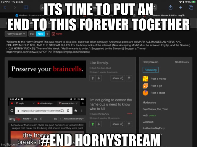 TAGS: END HORNYSTREAM! | ITS TIME TO PUT AN END TO THIS FOREVER TOGETHER; #END HORNYSTREAM | image tagged in end hornystream | made w/ Imgflip meme maker