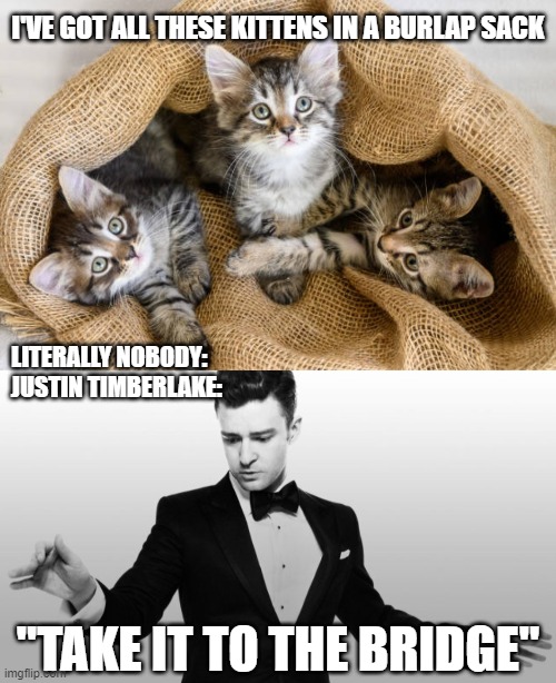 Meanie! | I'VE GOT ALL THESE KITTENS IN A BURLAP SACK; LITERALLY NOBODY:
JUSTIN TIMBERLAKE:; "TAKE IT TO THE BRIDGE" | image tagged in bringing sexy back,memes,kittens,sack,bridge,justin timberlake | made w/ Imgflip meme maker