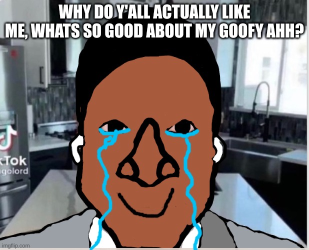 n | WHY DO Y'ALL ACTUALLY LIKE ME, WHATS SO GOOD ABOUT MY GOOFY AHH? | image tagged in n | made w/ Imgflip meme maker