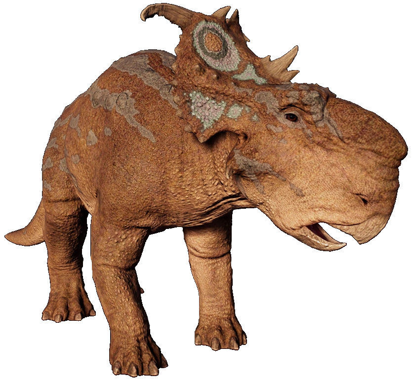Pachyrhinosaurus 2 (JWE Design) Blank Meme Template