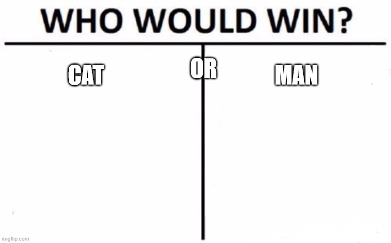 idk | OR; CAT; MAN | image tagged in memes,who would win | made w/ Imgflip meme maker