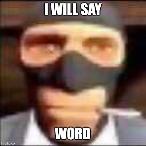 He will say word | I WILL SAY; WORD | image tagged in spi | made w/ Imgflip meme maker