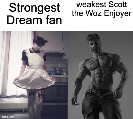 Strongest Fan VS Weakest Fan | weakest Scott the Woz Enjoyer; Strongest Dream fan | image tagged in strongest fan vs weakest fan | made w/ Imgflip meme maker