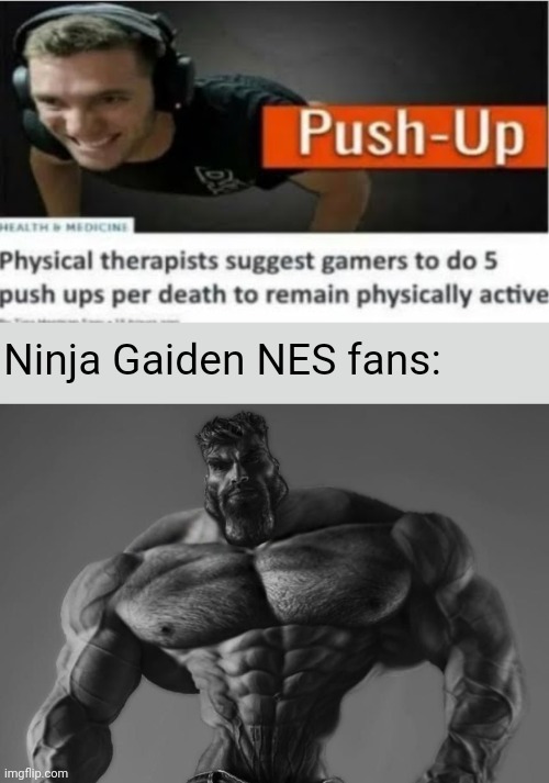 Nincha | Ninja Gaiden NES fans: | image tagged in physical therapists,gigachad,memes,nintendo entertainment system | made w/ Imgflip meme maker