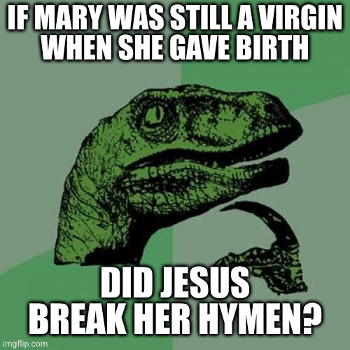 Philosoraptor | IF MARY WAS STILL A VIRGIN
WHEN SHE GAVE BIRTH; DID JESUS BREAK HER HYMEN? | image tagged in memes,philosoraptor | made w/ Imgflip meme maker
