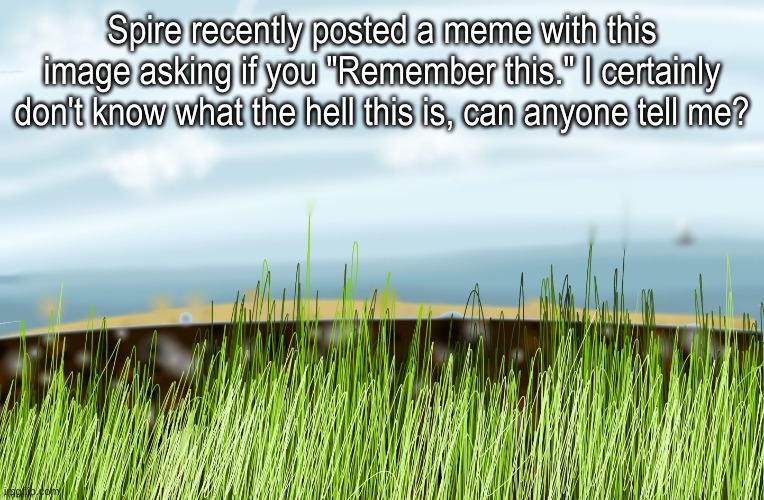 idk maybe its nostalgia or something | Spire recently posted a meme with this image asking if you "Remember this." I certainly don't know what the hell this is, can anyone tell me? | image tagged in memes,funny,grass,question,spire,what is this | made w/ Imgflip meme maker