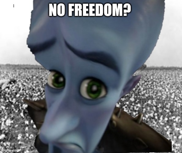 POV: your black in the 1800s | NO FREEDOM? | image tagged in dark humor,megamind no bitches,slavery | made w/ Imgflip meme maker