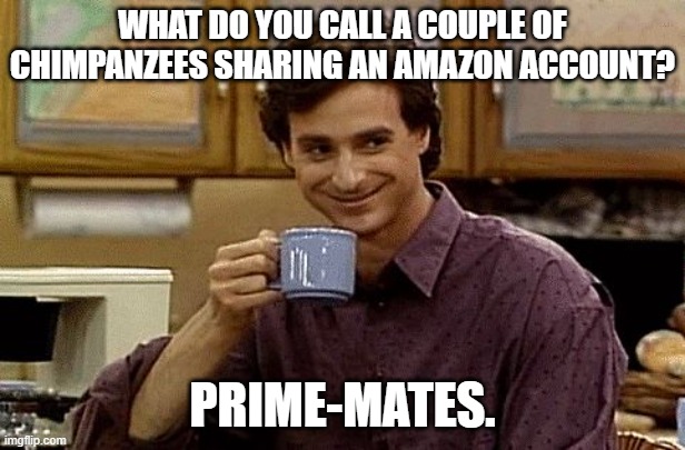 Dad Joke | WHAT DO YOU CALL A COUPLE OF CHIMPANZEES SHARING AN AMAZON ACCOUNT? PRIME-MATES. | image tagged in dad joke | made w/ Imgflip meme maker