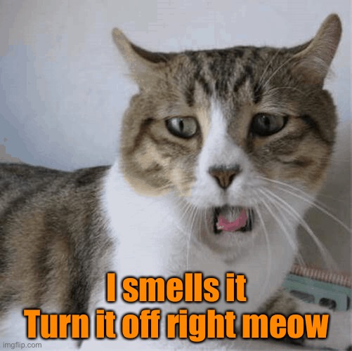 I smells it
Turn it off right meow | made w/ Imgflip meme maker