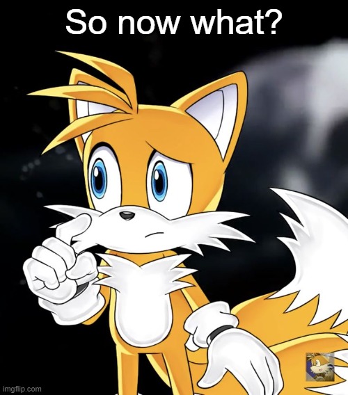 So now what? | image tagged in tails thinking | made w/ Imgflip meme maker