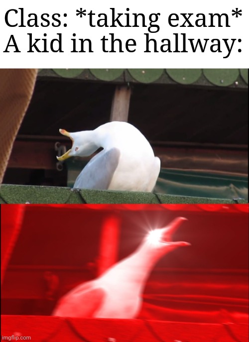 gravity ragdoll | Class: *taking exam*
A kid in the hallway: | image tagged in screaming bird,school | made w/ Imgflip meme maker