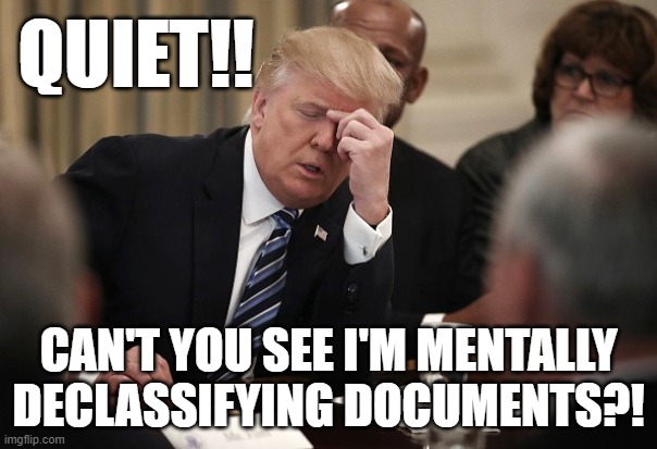 MENTAL DONNY | QUIET!! CAN'T YOU SEE I'M MENTALLY DECLASSIFYING DOCUMENTS?! | image tagged in trump headache,trump lies,trump is a moron,mental,moron,old joke | made w/ Imgflip meme maker