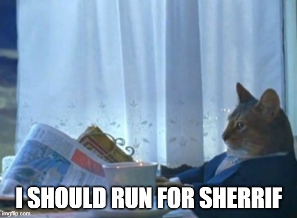 I Should Buy A Boat Cat Meme | I SHOULD RUN FOR SHERRIF | image tagged in memes,i should buy a boat cat | made w/ Imgflip meme maker