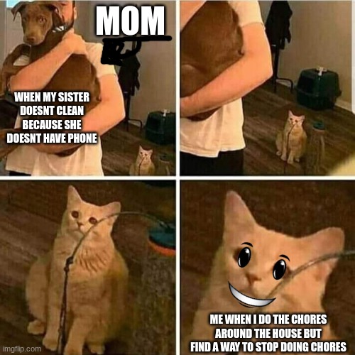 THIS ACTULLY HAPPENED D:< | MOM; WHEN MY SISTER DOESNT CLEAN BECAUSE SHE DOESNT HAVE PHONE; ME WHEN I DO THE CHORES AROUND THE HOUSE BUT FIND A WAY TO STOP DOING CHORES | image tagged in sad cat holding dog | made w/ Imgflip meme maker