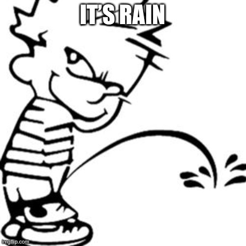 piss on you | IT’S RAIN | image tagged in piss on you | made w/ Imgflip meme maker