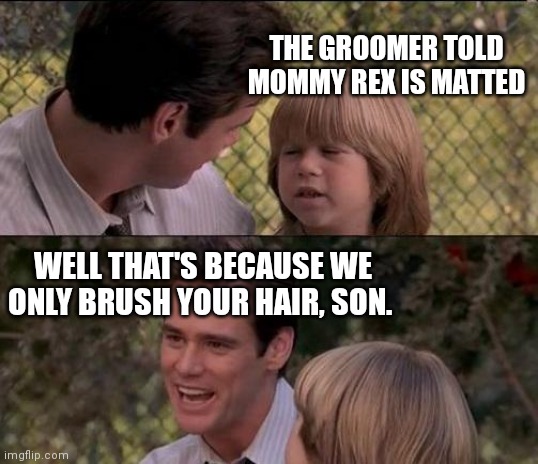 Not a liar | THE GROOMER TOLD MOMMY REX IS MATTED; WELL THAT'S BECAUSE WE ONLY BRUSH YOUR HAIR, SON. | image tagged in memes,that's just something x say,groomer,brushyourdogs | made w/ Imgflip meme maker