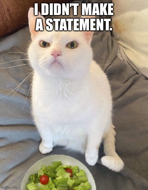 WTF Hooman | I DIDN’T MAKE A STATEMENT. | image tagged in wtf hooman | made w/ Imgflip meme maker