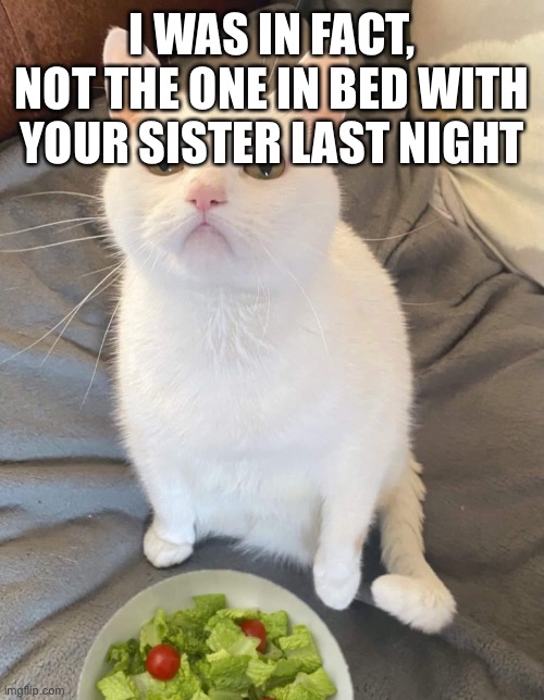 WTF Hooman | I WAS IN FACT, NOT THE ONE IN BED WITH YOUR SISTER LAST NIGHT | image tagged in wtf hooman | made w/ Imgflip meme maker