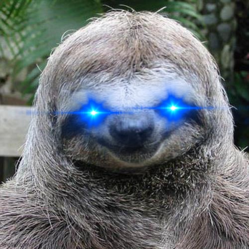 Rape Sloth  | image tagged in rape sloth | made w/ Imgflip meme maker
