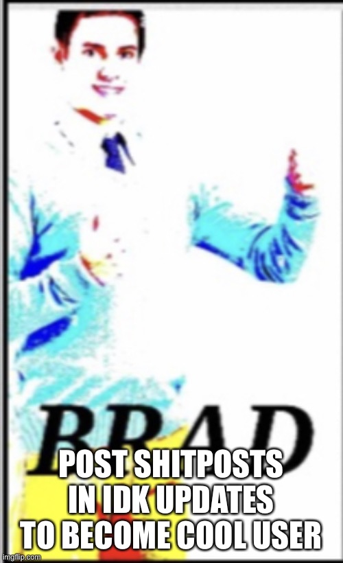 Brad Approved | POST SHITPOSTS IN IDK UPDATES TO BECOME COOL USER | image tagged in brad approved | made w/ Imgflip meme maker