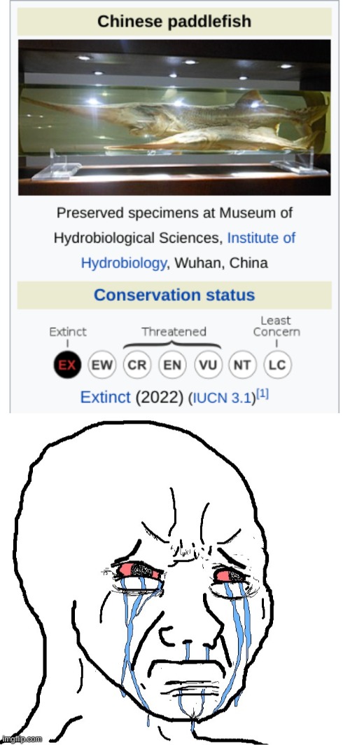 Farewell. | image tagged in chinese paddlefish,crying wojak,sad wojack,why are you reading the tags | made w/ Imgflip meme maker